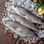 민어(해동/특/손질) - 메가마트몰 [메가마트몰] 민어(해동/특/손질)