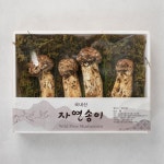 자연송이/팩 - 메가마트몰 [메가마트몰] 자연송이/팩