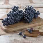 보고시포도 참아요🍇 - 메가마트몰 [메가마트몰] 보고시포도 참아요🍇 