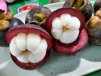 생 망고스틴 1kg - 메가마트몰 [메가마트몰] 생 망고스틴 1kg