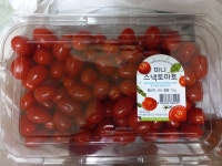 실속 스위텔 스낵토마토(미니) - 메가마트몰 [메가마트몰] 실속 스위텔 스낵토마토(미니)