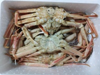 대게 - 메가마트몰 [메가마트몰] 대게