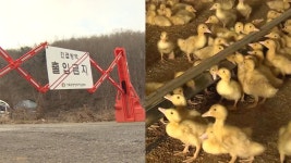 7월부터 응급실에 보안인력 배치…CCTV도 설치 : zum 뉴스