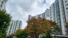 서울특별시 양천구 신정동 [매매] 12억 5000 쓰리룸+(방:4/욕실:2)... 구하기 서울특별시 양천구 신정동 [매매] 12억 5000 쓰리룸+(방:4/욕실:2)