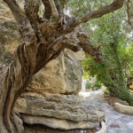 White River Cottages - Crete - the MICHELIN Guide