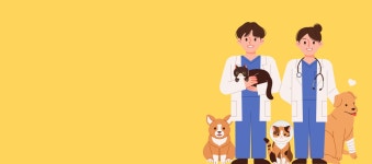 [(주)셀루메드] (주)셀루메드 의료기기 인허가 RA 경력직 채용 - 사람인