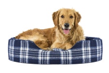         Furhaven Pet Dog Bed | Round Oval Cuddler Nest Lounger Pet Bed for Dogs & Cats - Available in Multiple Colors & Styles... 