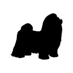Shih Tzu Icon - Free PNG & SVG 250044 - Noun Project