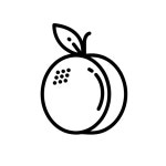 Apricot Icon - Free PNG & SVG 400061 - Noun Project