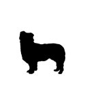 Border Collie Icon - Free PNG & SVG 250040 - Noun Project
