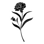 고보영뷰티# | carnation flower Icon - Free PNG & SVG 5123437 - Noun Project