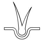 Double Fur Icon - Free PNG & SVG 700299 - Noun Project