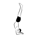 Fitness Icon - Free PNG & SVG 6069681 - Noun Project