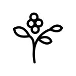 flowers Icon - Free PNG & SVG 900003 - Noun Project