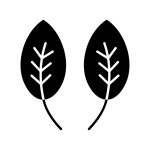 herb Icon - Free PNG & SVG 7827951 - Noun Project