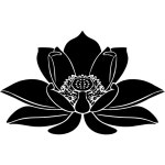 Lotus Flower Icon - Free PNG & SVG 1672027 - Noun Project
