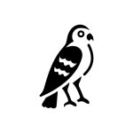 Parrot Icon - Free PNG & SVG 7036193 - Noun Project