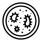 Petri Dish Icon - Free PNG & SVG 900116 - Noun Project