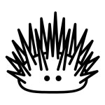 sea urchin Icon - Free PNG & SVG 700174 - Noun Project