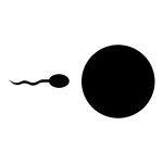 Sperm Icon - Free PNG & SVG 700249 - Noun Project