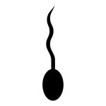 Sperm Icon - Free PNG & SVG 700251 - Noun Project