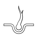 split end Icon - Free PNG & SVG 700306 - Noun Project