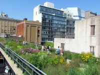 The High Line in New York | Times of India Travel The High Line