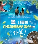 Naver 搜索结果照片 4