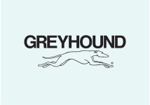 Greyhound 65044 Vector Art at Vecteezy Download Greyhound