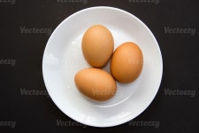 chicken egg Stock Photo Download chicken egg for free