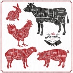 Animal farm set 1503484 Vector Art at Vecteezy Download Animal farm set for free