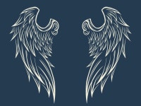 Wings vector design 7718545 Vector Art at Vecteezy Download Wings vector design for free