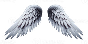 White angel wings. 43371460 PNG White angel wings.
