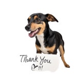 Thank you dog 53922956 PNG Download Thank you dog for free