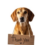 Thank you dog 53922969 PNG Download Thank you dog for free