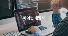 파이썬 개발자