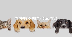 케이펫(K-PET) 주요 기업