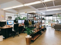 [오앤에이크리에이션] UI/UX/Visual Designer 채용 공고 | 원티드