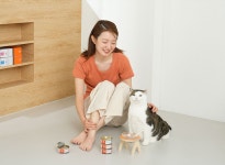 조앤강 기업정보 - 채용 1건, 평균연봉 4,387만원, 인원 31명, 업력 8년, 서울 송파구 | 원티드