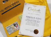 와이펫 기업정보 - 채용 0건, 평균연봉 3,034만원, 인원 16명, 업력 3년, 부산 해운대구 | 원티드