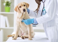 본바이오메드 기업정보 - 채용 0건, 평균연봉 4,302만원, 인원 6명, 업력 5년, 경기 수원시 | 원티드