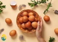 풍림푸드 기업정보 - 채용 0건, 평균연봉 4,732만원, 인원 177명, 업력 29년, 충북 진천군 | 원티드