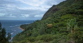 Hiking Trail in Hawaii Closes After Norovirus Outbreak - The New York Times Dozens Fall Ill on Hawaii Hiking Trail in... 