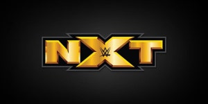 WWE Referee Breaks Leg, Finishes Calling Match WWE Referee Suffers Gruesome Broken Leg, Finishes Calling Match