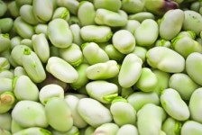 밥 스 팜 bobs  