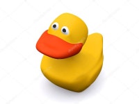 오리  