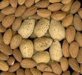 캔버스에 너트 믹스 — 스톡 사진 © PixelsAway #6991311 캔버스에 너트 믹스