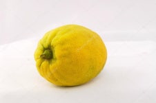 Etrog  