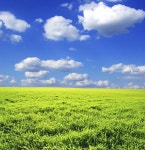 그린 필드 — 스톡 사진 © Pakhnyushchyy #5127397 그린 필드