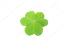 클로버  